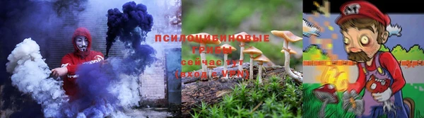 ECSTASY Магас