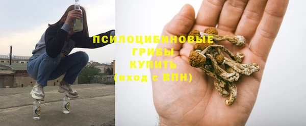 сатива Лабытнанги