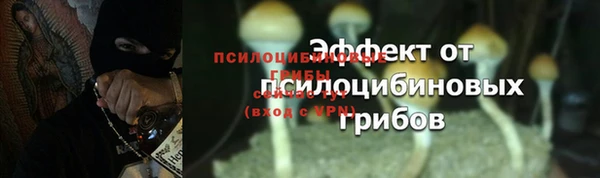 гашишное масло Лагань
