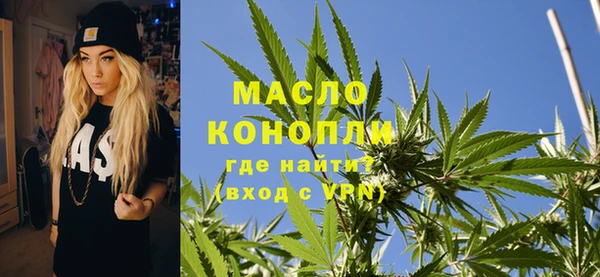 сатива Лабытнанги