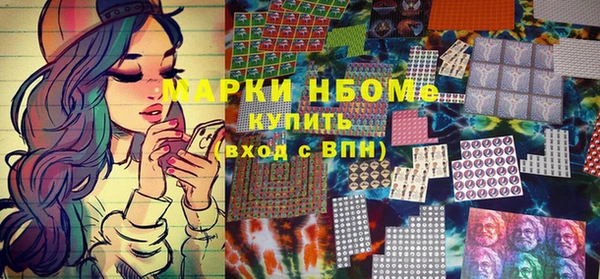 сатива Лабытнанги