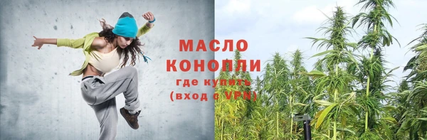 сатива Лабытнанги
