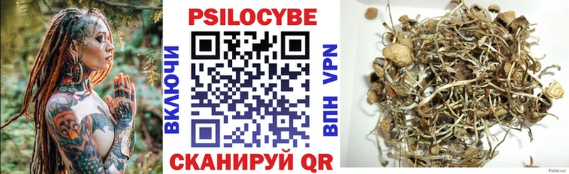 Купить где  Аша  Псилоцибиновые грибы мицелий 